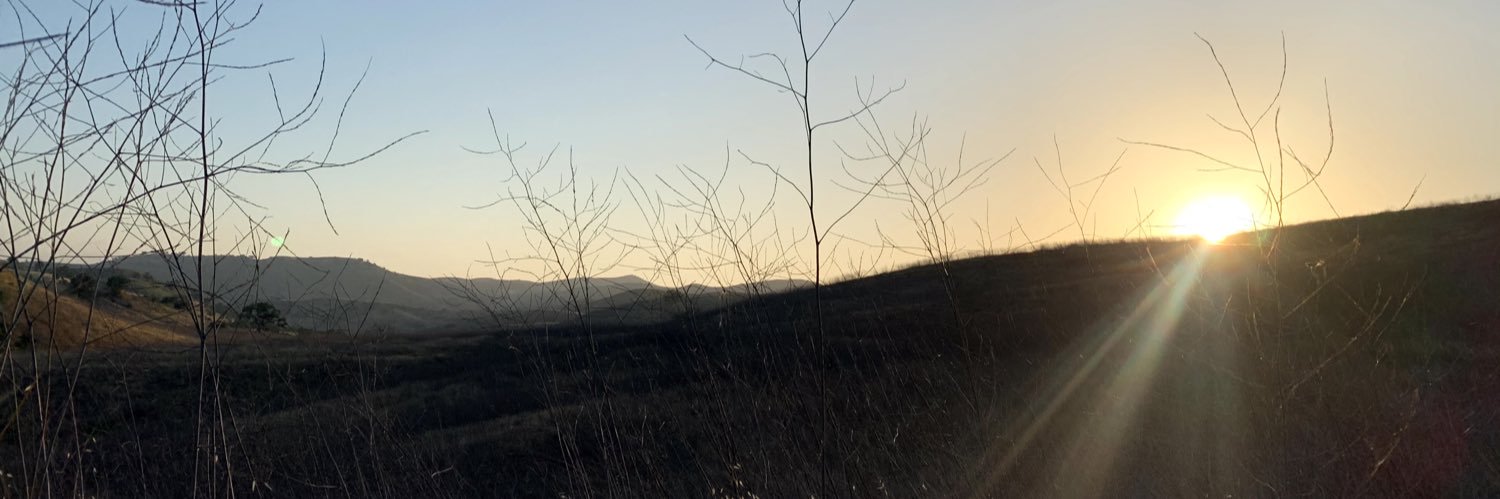 Composmentiss's profile banner image