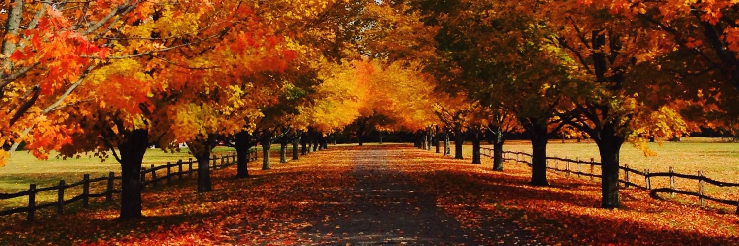 EllenFooter's profile banner image