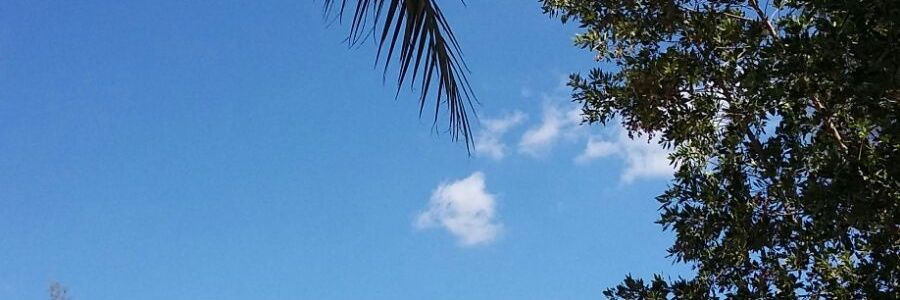 mabatahen1122's profile banner image