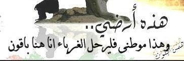 imadmohsen1's profile banner image