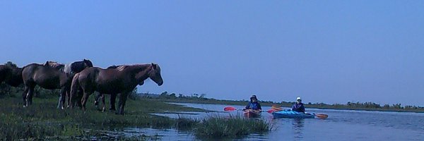 HRuthMiller Profile Banner