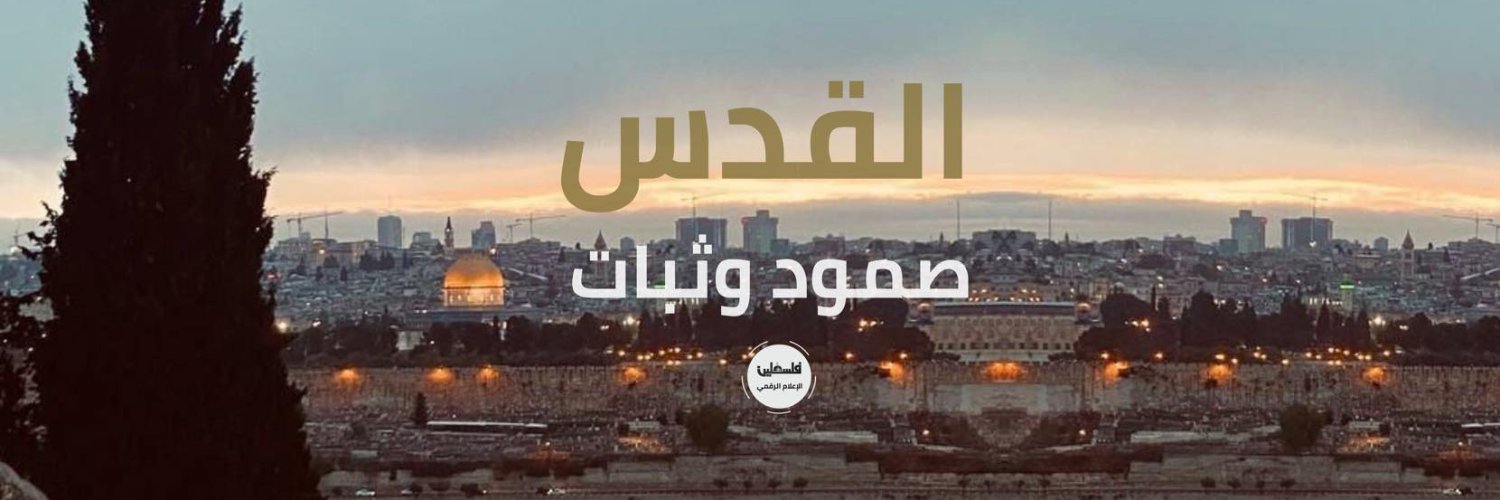 Palestine TV - تلفزيون فلسطين banner