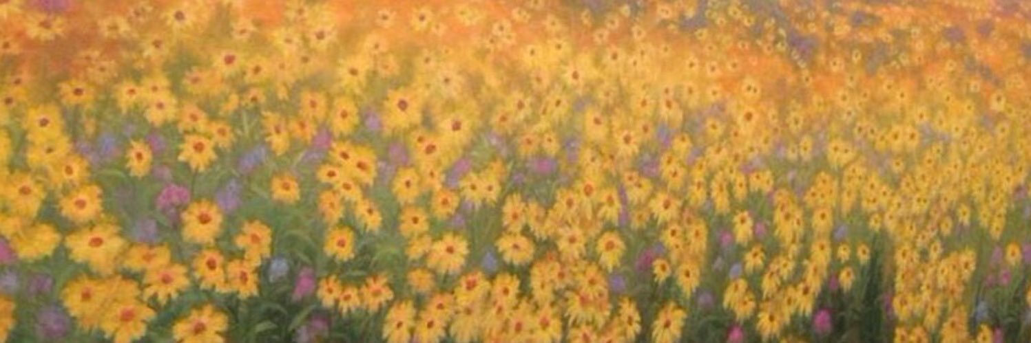 madisoncontri's profile banner image