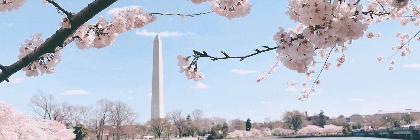 _tifflia's profile banner image