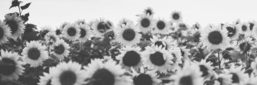 brittttykohl's profile banner image