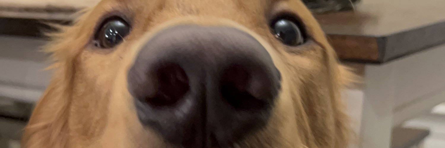 ajackson620's profile banner image