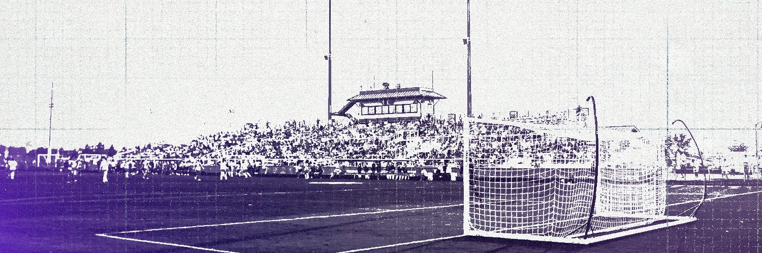 LSU Soccer's banner