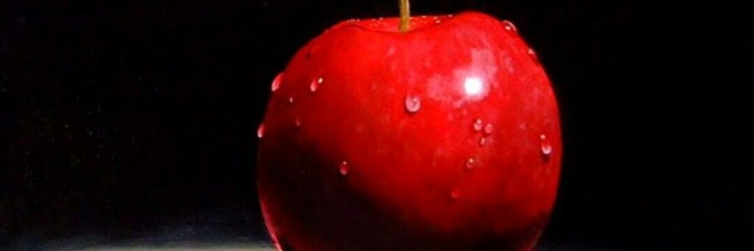 hdlkols's profile banner image