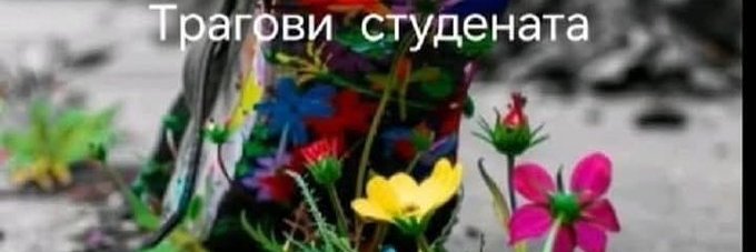 DN9981's profile banner image