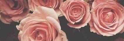 fallongibarra's profile banner image