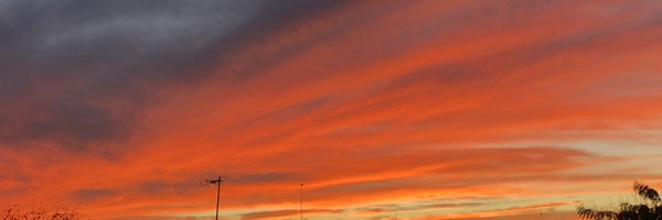 sofia_reza Profile Banner