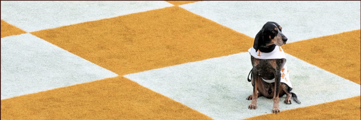 MoatesyMoates's profile banner image