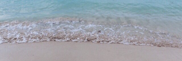 🌸 banner