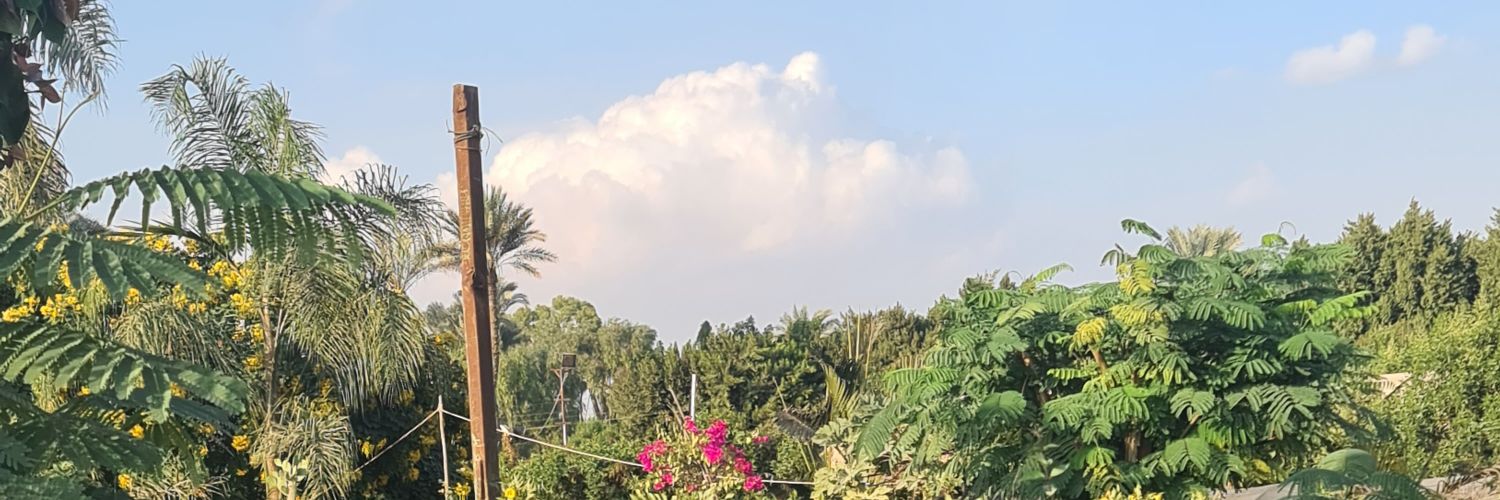 hatemtogan's profile banner image