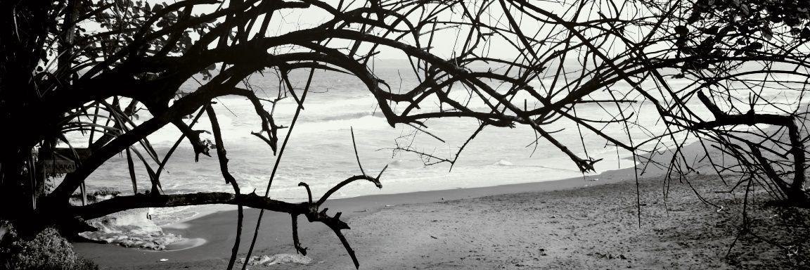 mhenthary_kitty's profile banner image
