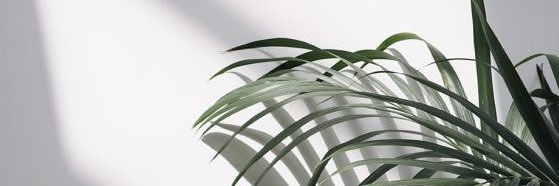 Jenn_delgado2's profile banner image