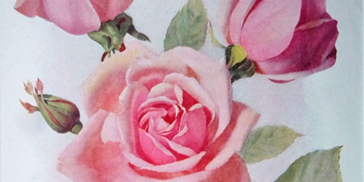 _rachelPierce's profile banner image