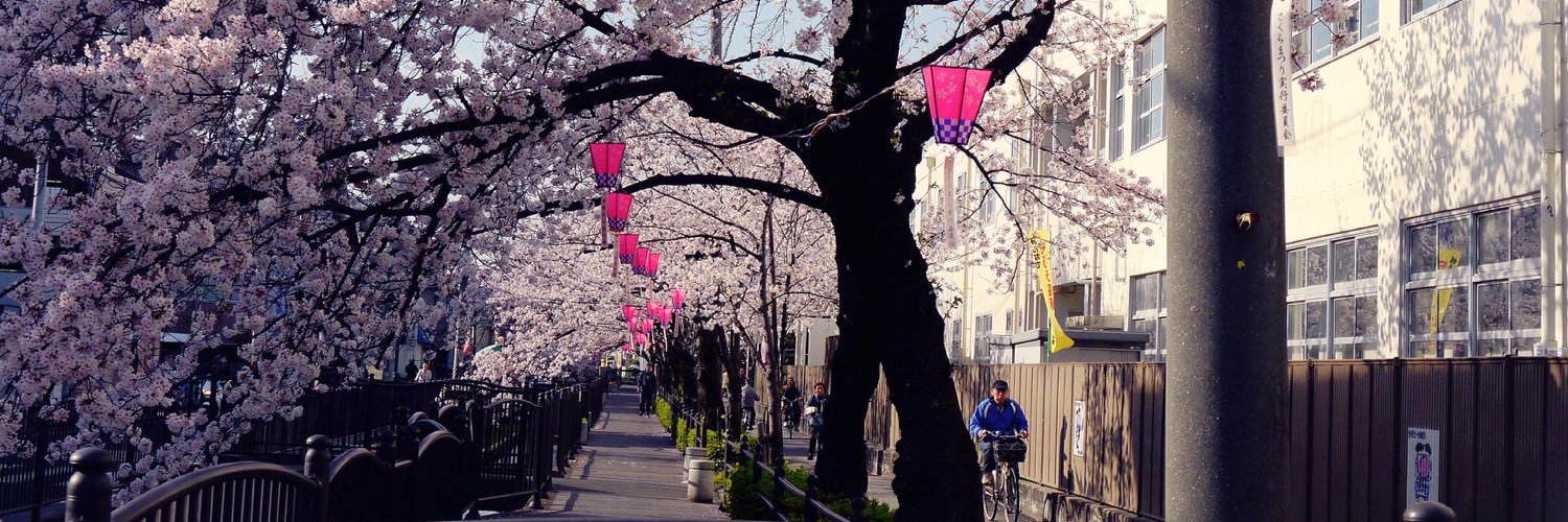 Tokyo_Animism's profile banner image