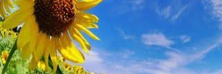 napotsun's profile banner image