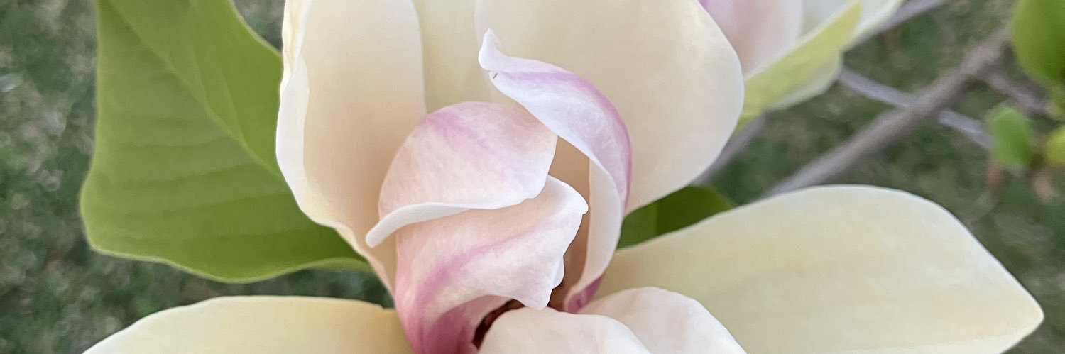 Clare 🍉 🇺🇦 🇵🇸 🇸🇩 banner