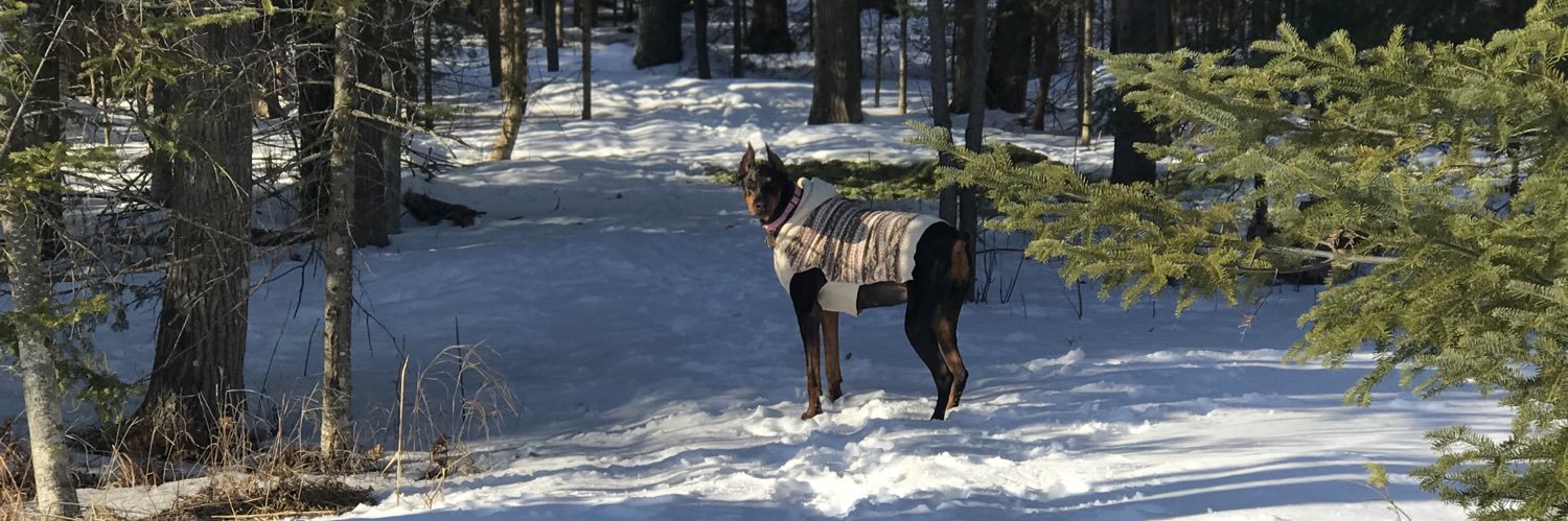 BeckerBrooke26's profile banner image