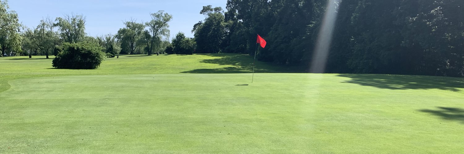 Hot cheeto dust banner