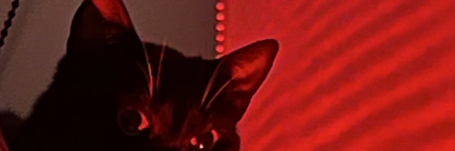 GINA_TAVERA's profile banner image