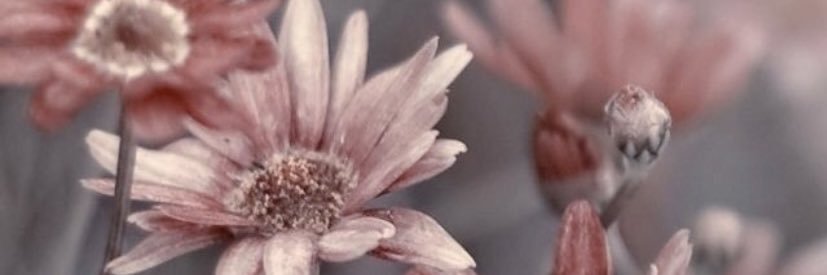 D_Lowe920's profile banner image