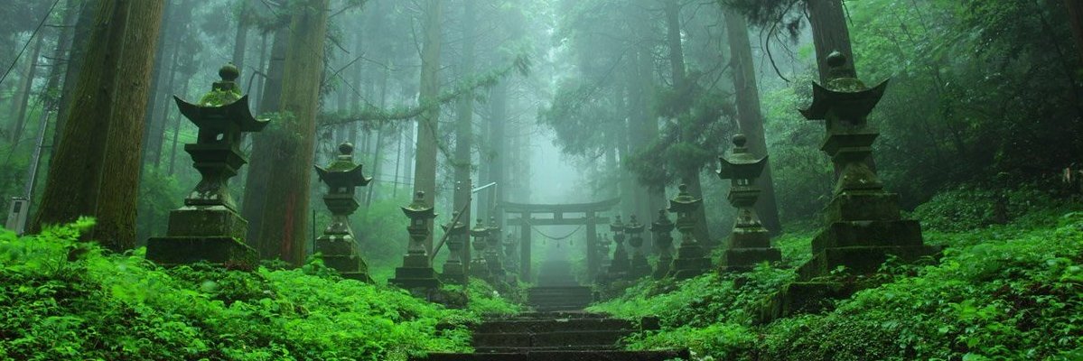 cainsama's profile banner image
