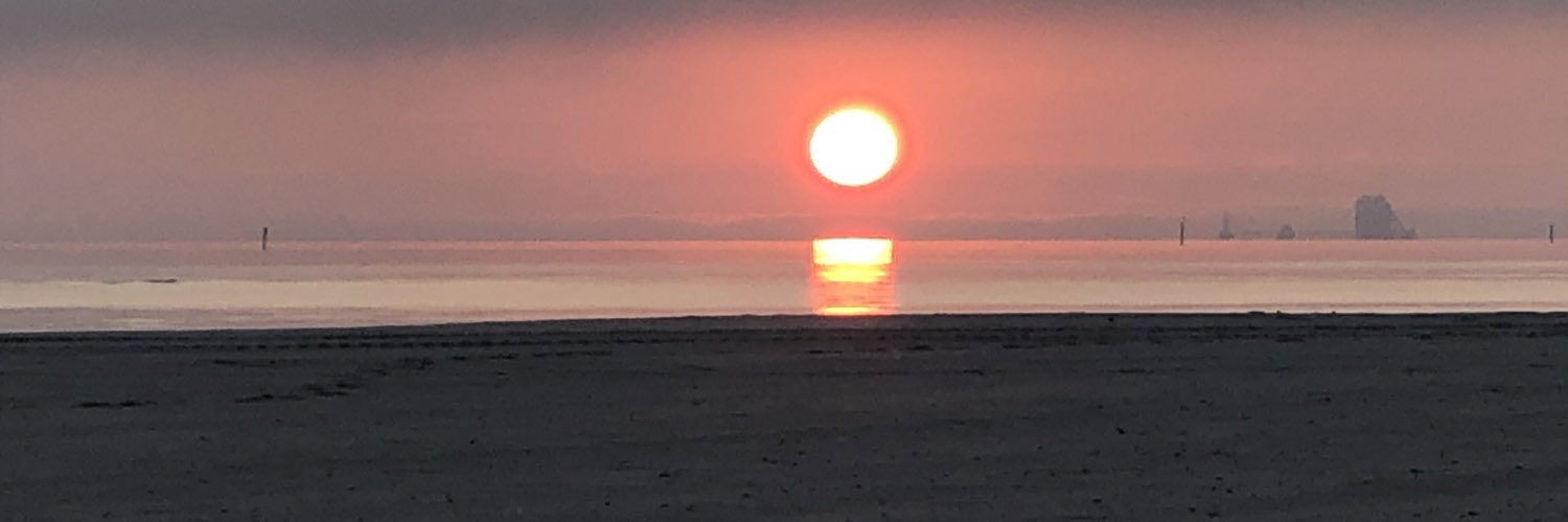 StephBeck10's profile banner image