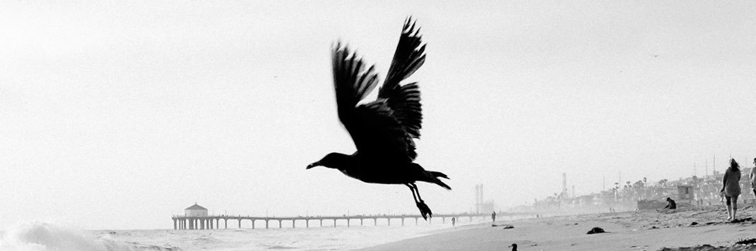 realharrydavis's profile banner image