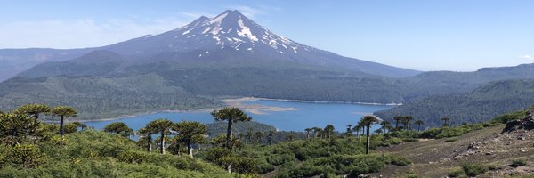 teptips Profile Banner