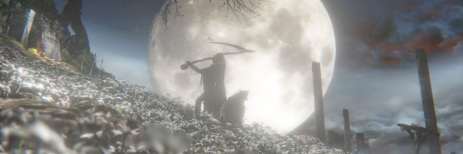 kiku2500's profile banner image