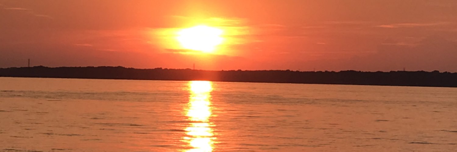 ngulick's profile banner image