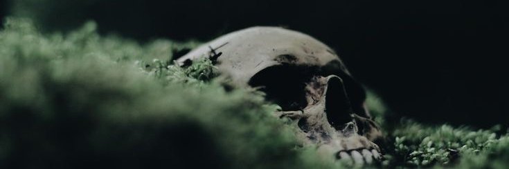 Trechos de Filmes banner