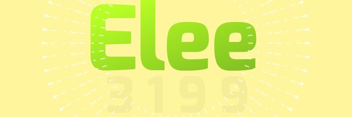 eele3313's profile banner image