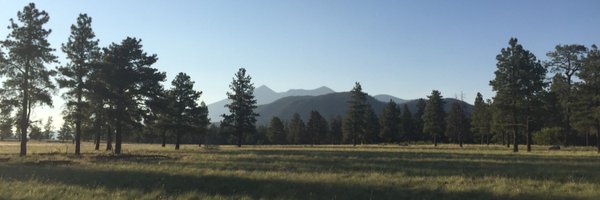 tiisyaato Profile Banner