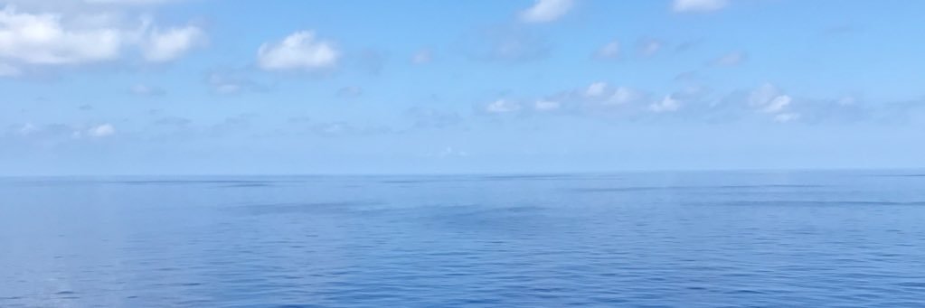 BeeKateLew's profile banner image