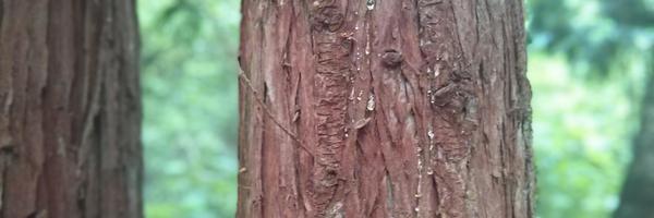 rfugger Profile Banner