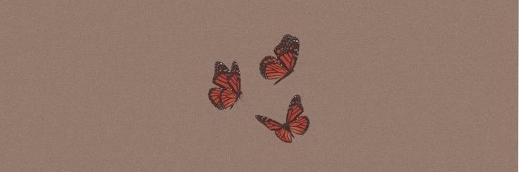 Alaa_M_Zain's profile banner image