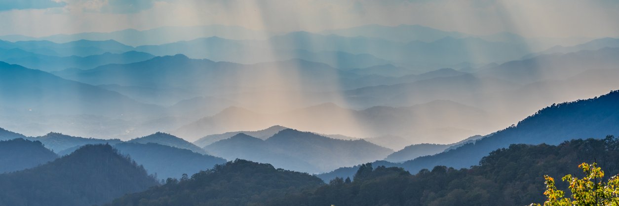 Marcia Mount Shoop (she, her) banner