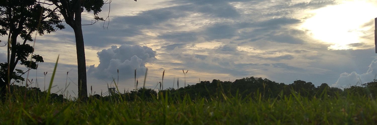LonesomeLiang's profile banner image