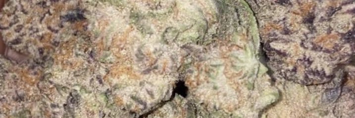 JarStrains's profile banner image