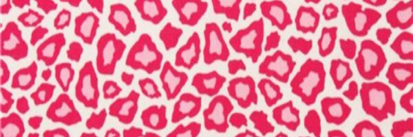 Kitty_OBrien Profile Banner