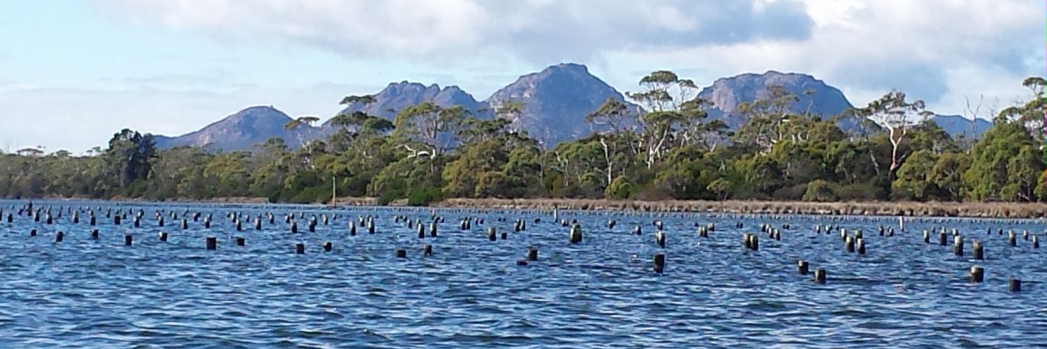 Exclusive Escapes banner