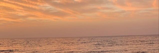 fishzzers's profile banner image