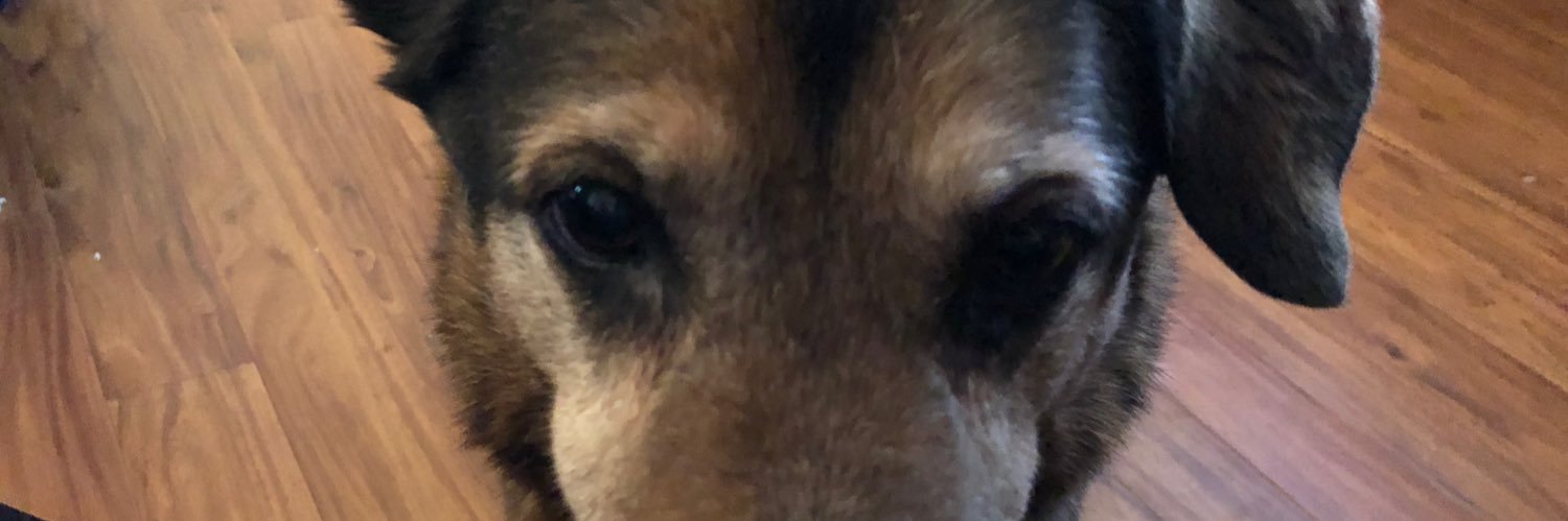 jcnoble's profile banner image