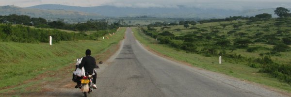 elvingeng Profile Banner