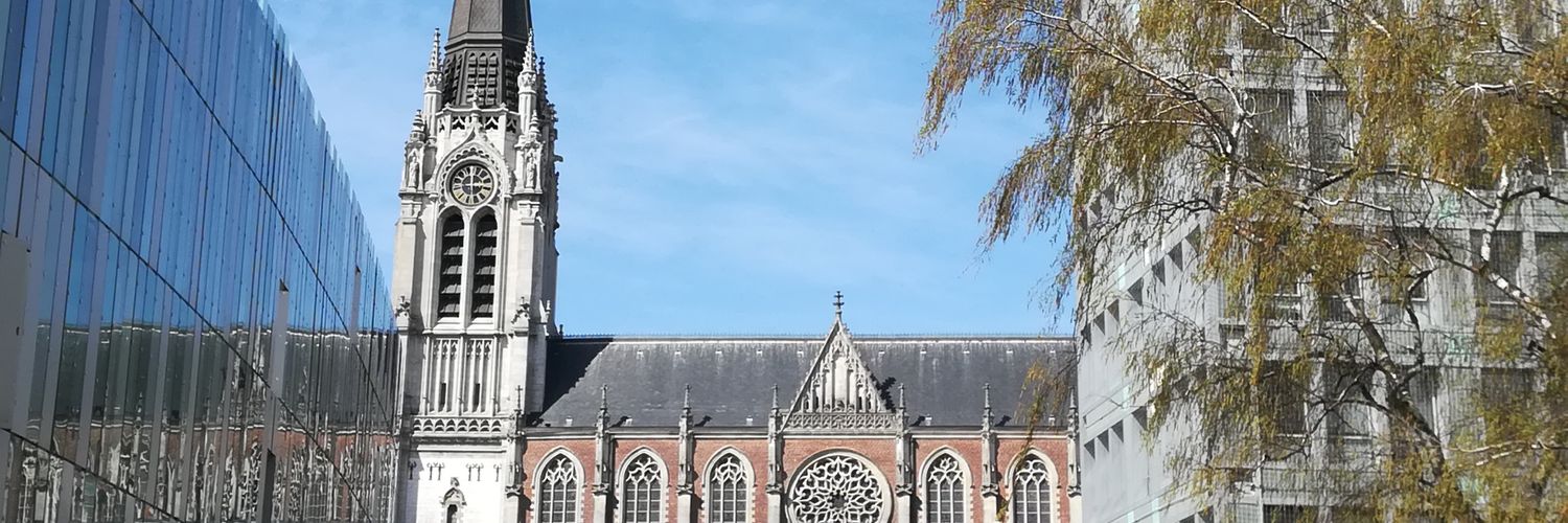 Peter MAENHOUT banner