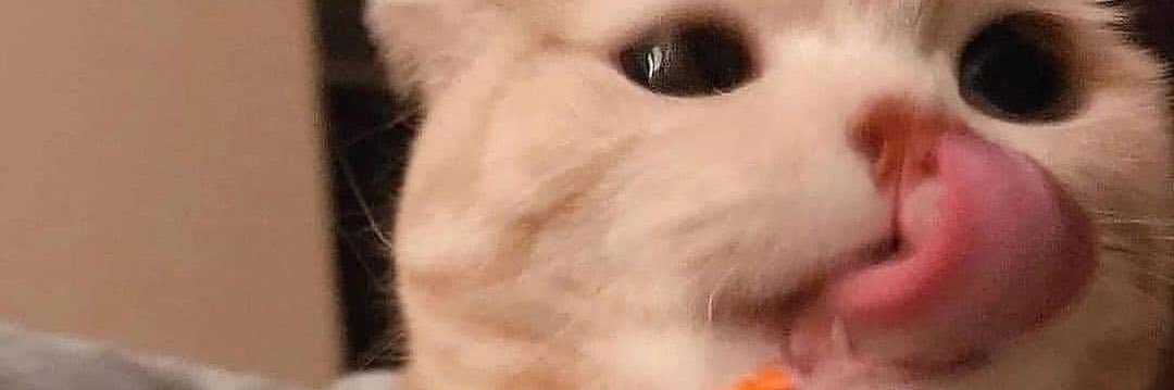 Mara4short's profile banner image